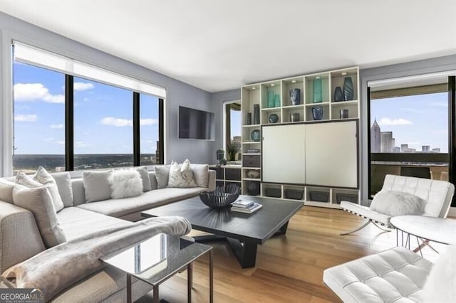 living room featuring hardwood / wood-style floors