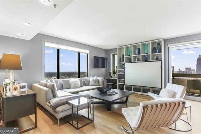 living room with light hardwood / wood-style flooring and a healthy amount of sunlight