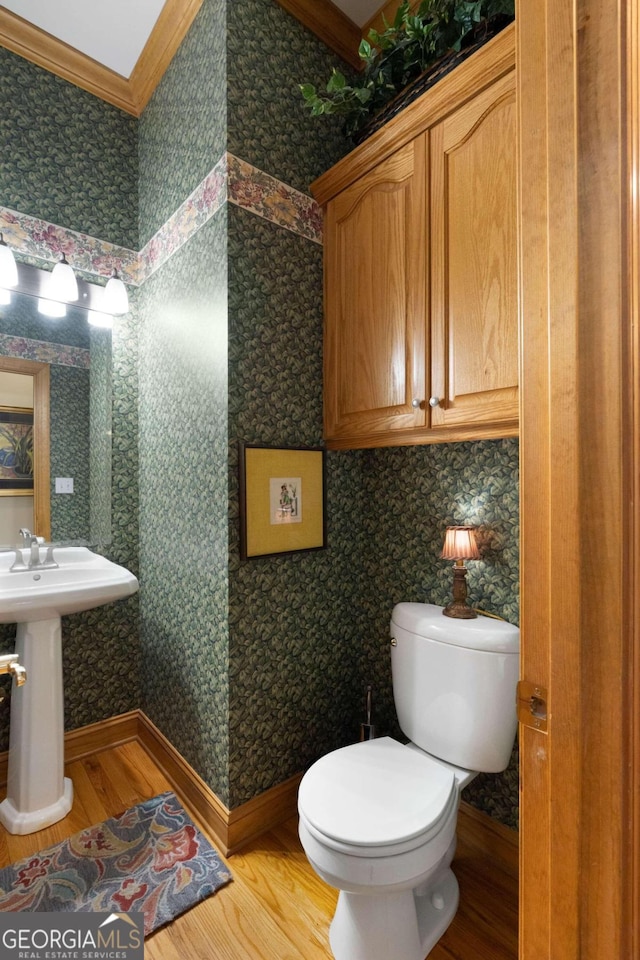 bathroom featuring sink, wood-type flooring, and toilet