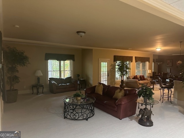 living room with carpet