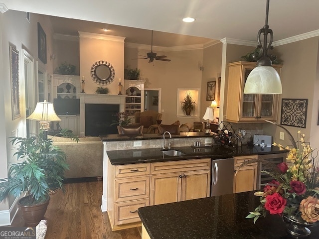 kitchen featuring ceiling fan, sink, dark hardwood / wood-style floors, and ornamental molding