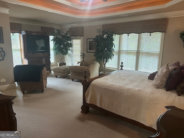 bedroom with carpet flooring, ceiling fan, ornamental molding, and a tray ceiling