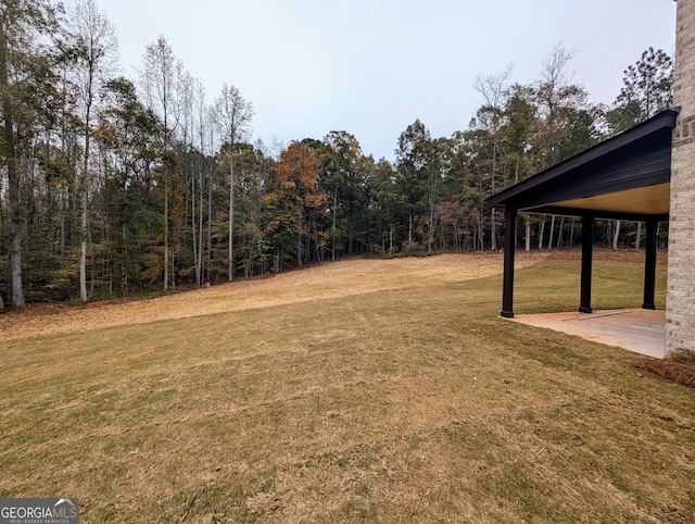 view of yard featuring a patio area