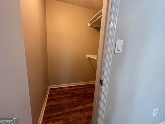 walk in closet featuring dark hardwood / wood-style flooring