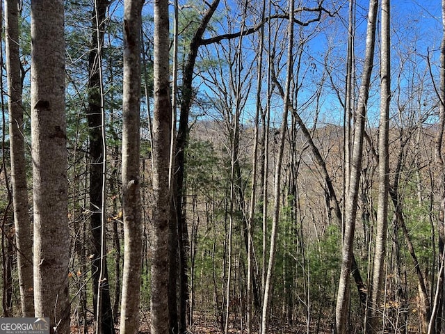 406 Barefoot Rise, Hiawassee GA, 30546 land for sale