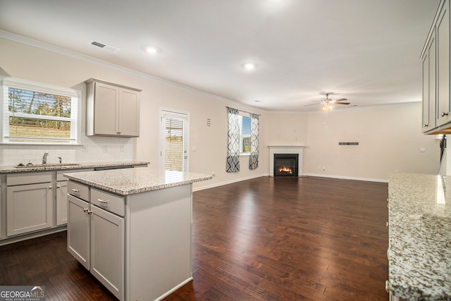 kitchen with dark hardwood / wood-style floors, a wealth of natural light, and gray cabinetry