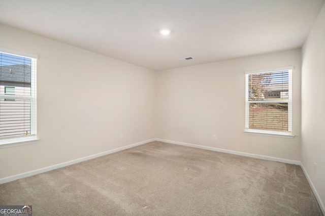 spare room featuring carpet and a healthy amount of sunlight