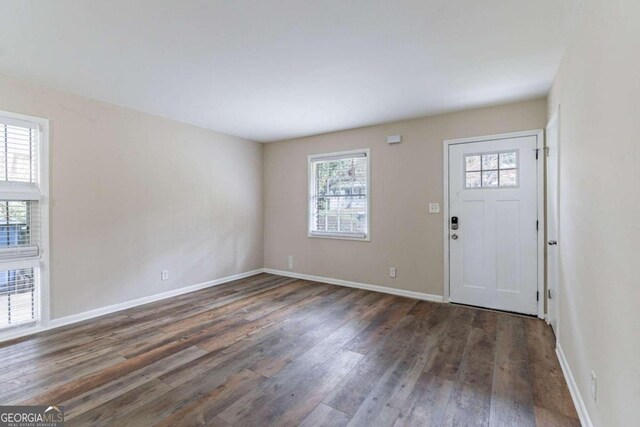 entryway featuring dark hardwood / wood-style floors and a healthy amount of sunlight