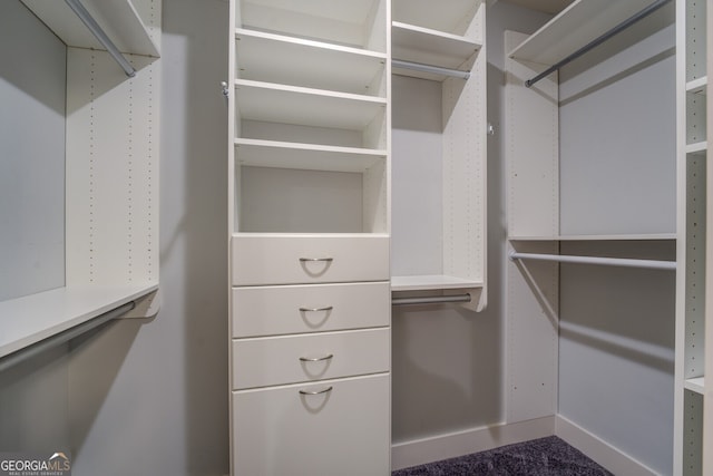 view of walk in closet