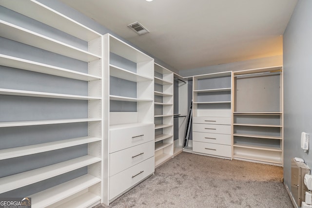 spacious closet featuring light colored carpet