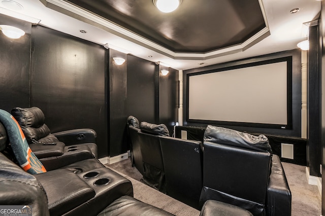 cinema with carpet flooring and a tray ceiling