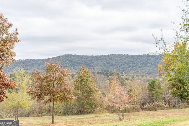 view of mountain feature