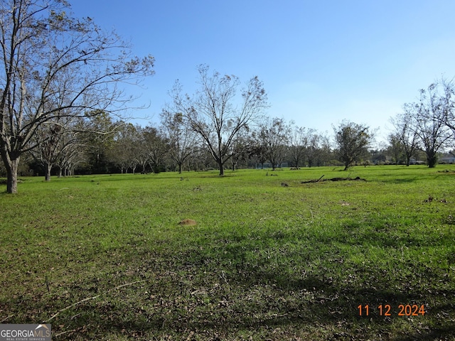 view of yard with a rural view