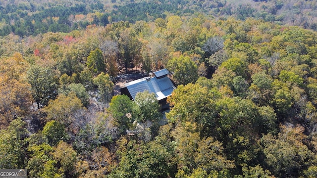 739 Barnes Mill Rd, Hamilton, GA 31811 - bird's eye view with a forest view