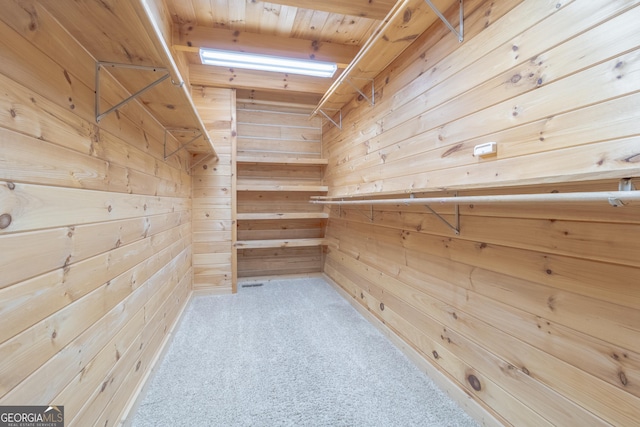 739 Barnes Mill Rd, Hamilton, GA 31811 - walk in closet with carpet flooring