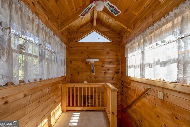 interior space with a healthy amount of sunlight, wooden ceiling, and wooden walls