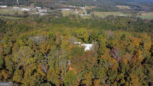 739 Barnes Mill Rd, Hamilton, GA 31811 - aerial view with a view of trees