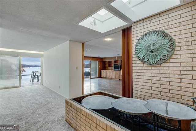 interior space with carpet floors and a skylight