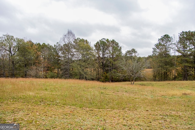 view of local wilderness