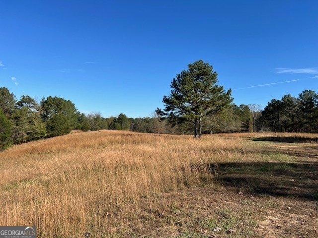 view of nature with a rural view