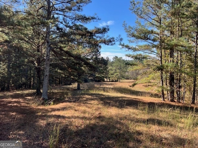 view of local wilderness