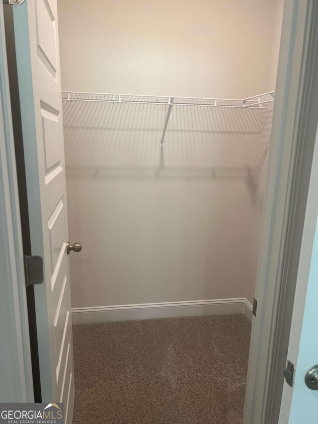 spacious closet with carpet flooring