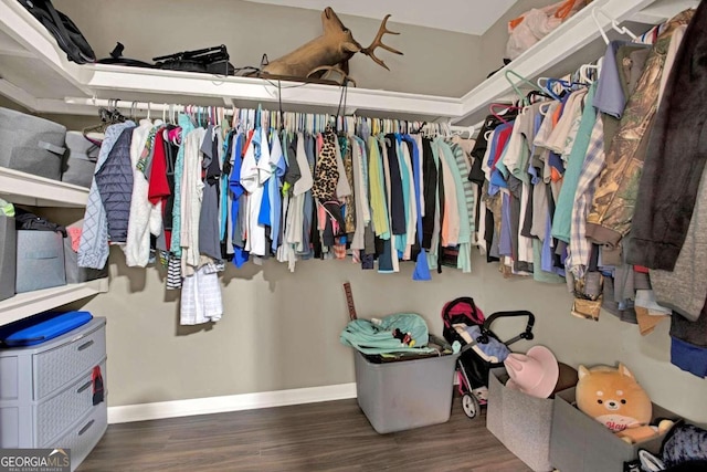 walk in closet featuring hardwood / wood-style floors