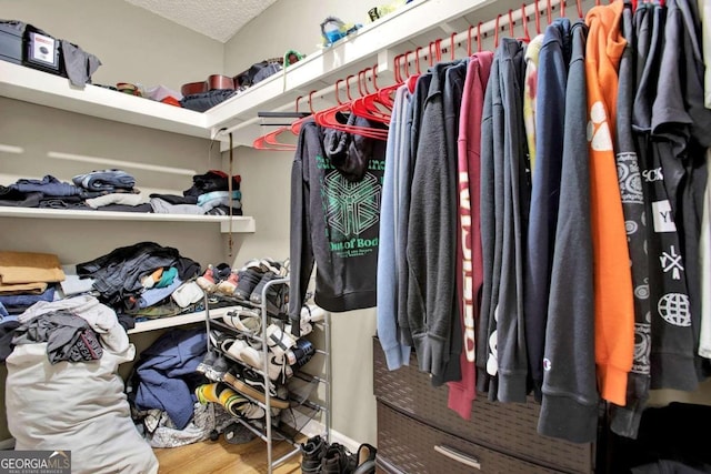 walk in closet featuring wood-type flooring