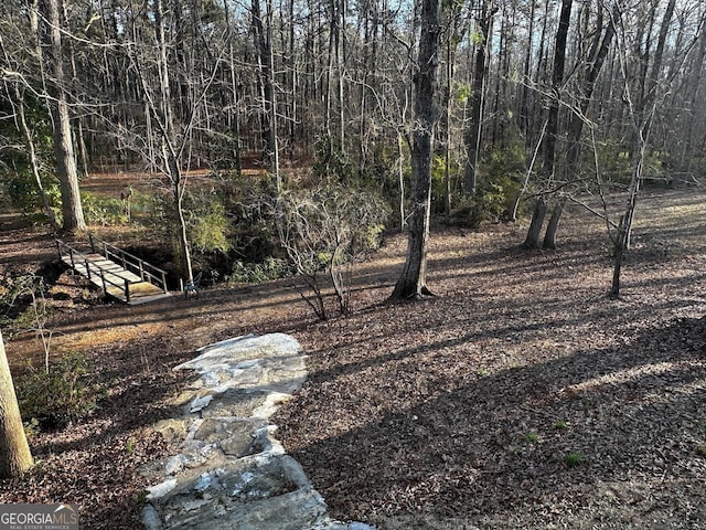 view of yard with a wooded view