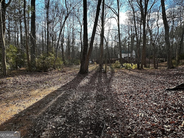 view of road with driveway