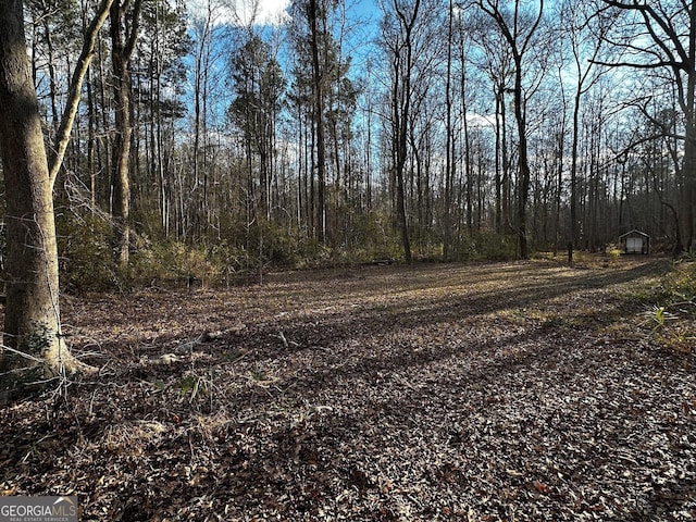 view of local wilderness with a forest view