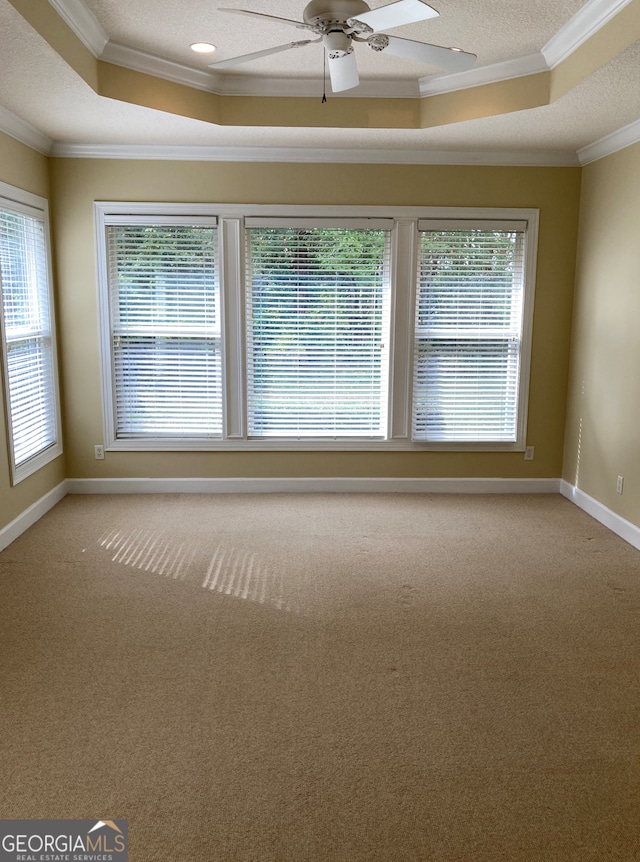 spare room featuring a raised ceiling, crown molding, and a healthy amount of sunlight