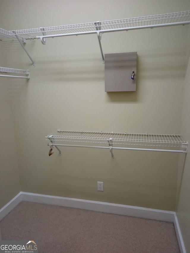 spacious closet with carpet