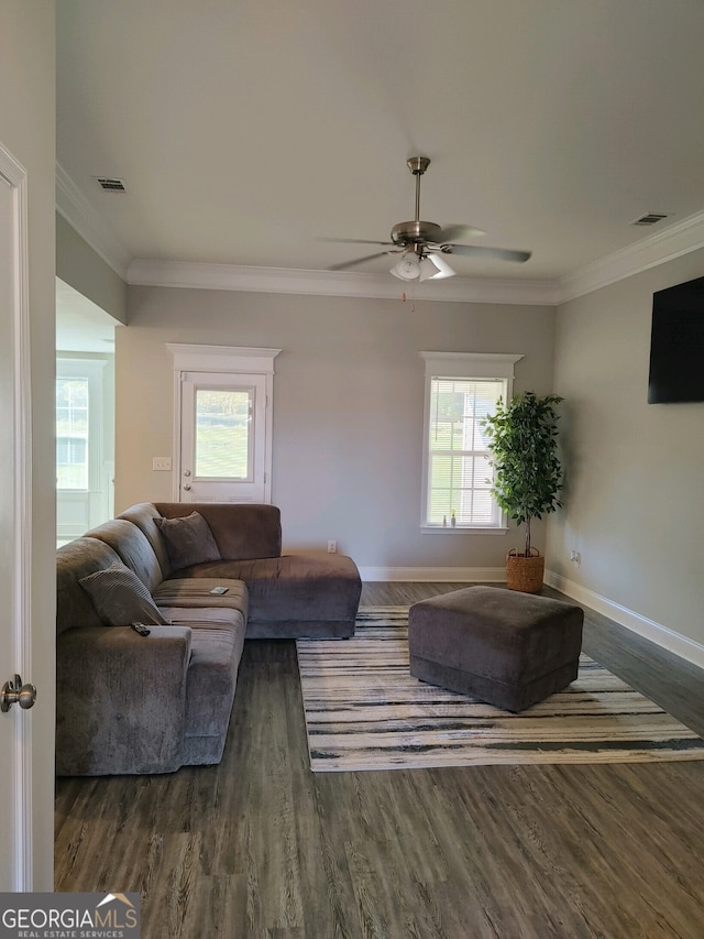 living room with ornamental molding, a wealth of natural light, dark wood-type flooring, and ceiling fan