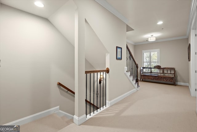 staircase with carpet and crown molding