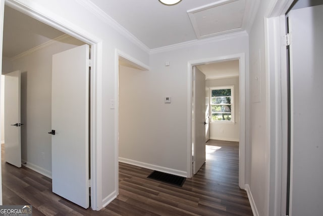 hallway with crown molding and dark hardwood / wood-style flooring