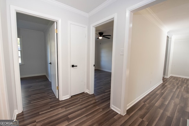 corridor with crown molding and dark hardwood / wood-style floors