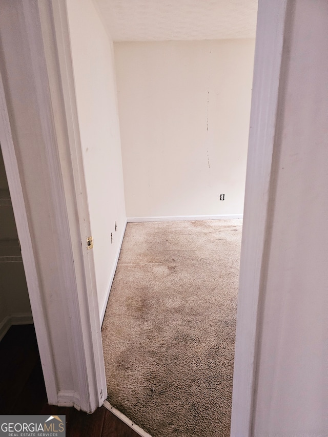 spare room with carpet floors