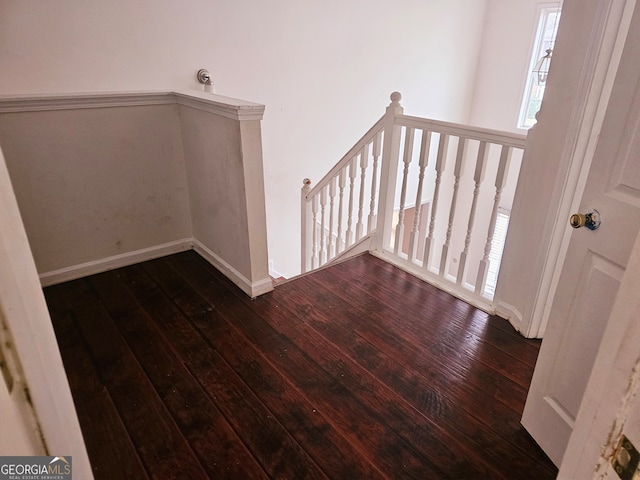 stairway with hardwood / wood-style floors