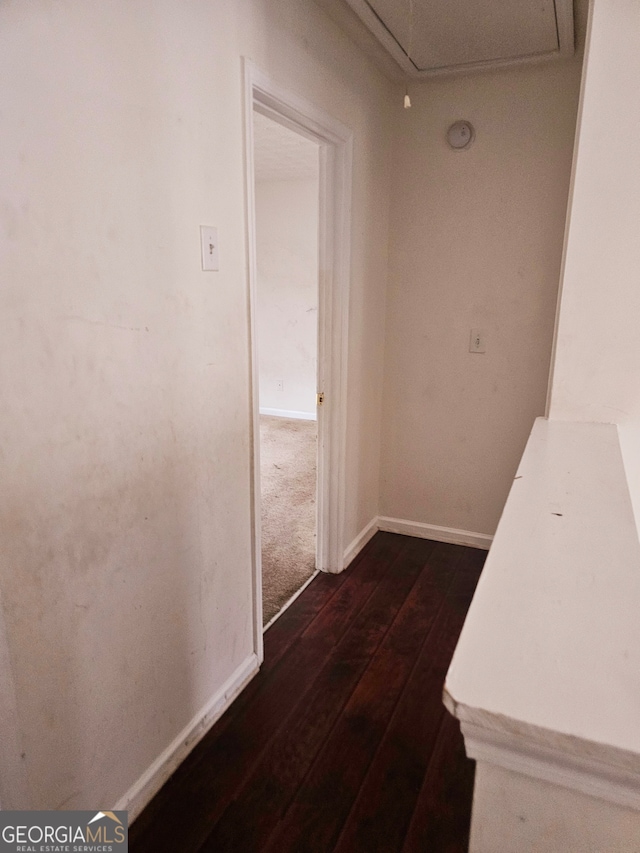 hall featuring dark wood-type flooring