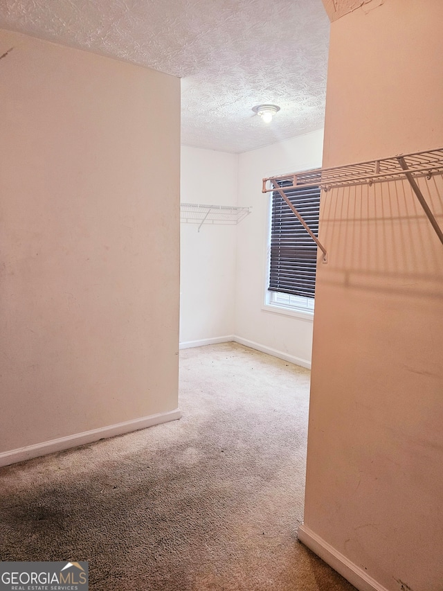 spacious closet featuring carpet flooring