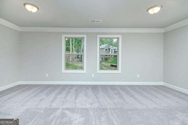 spare room with ornamental molding and carpet flooring