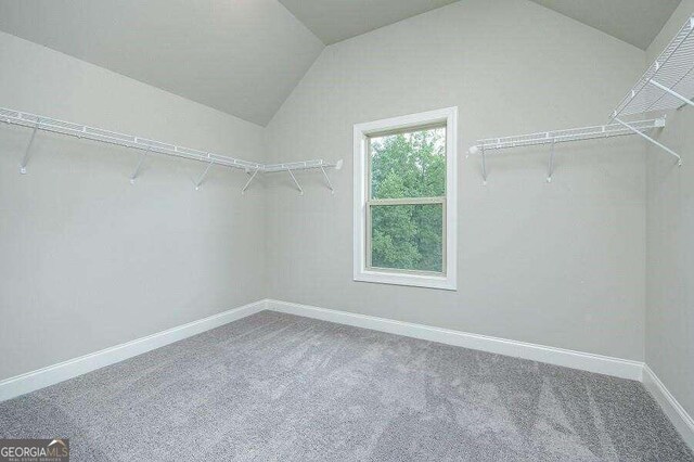 spacious closet with vaulted ceiling and carpet