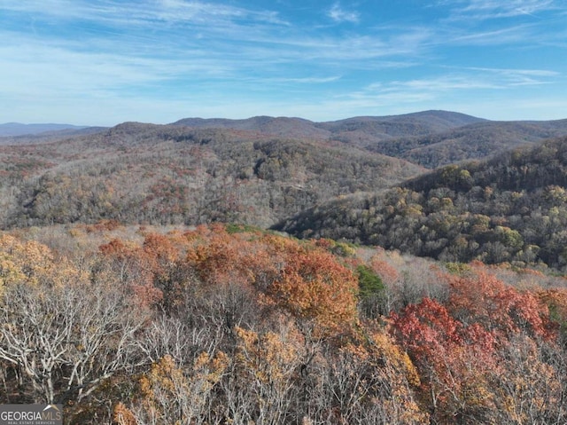 274 Andes Rdg, Ellijay GA, 30536 land for sale