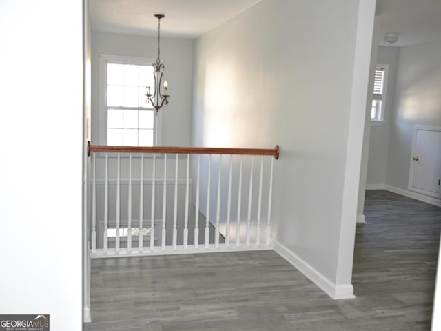 interior space with a chandelier and dark hardwood / wood-style flooring