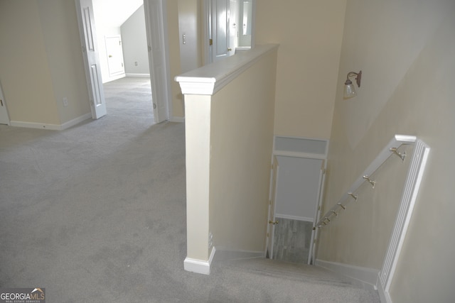 staircase with carpet flooring