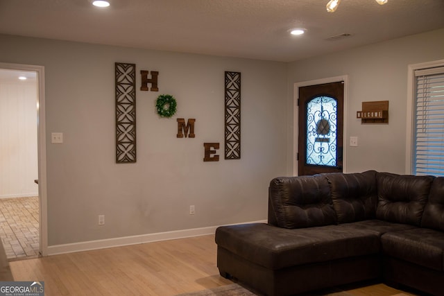 living room featuring light hardwood / wood-style flooring