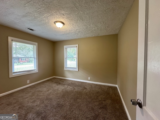 empty room featuring a textured ceiling, carpet floors, and a wealth of natural light