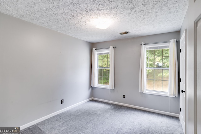 unfurnished room featuring carpet, a textured ceiling, and a wealth of natural light