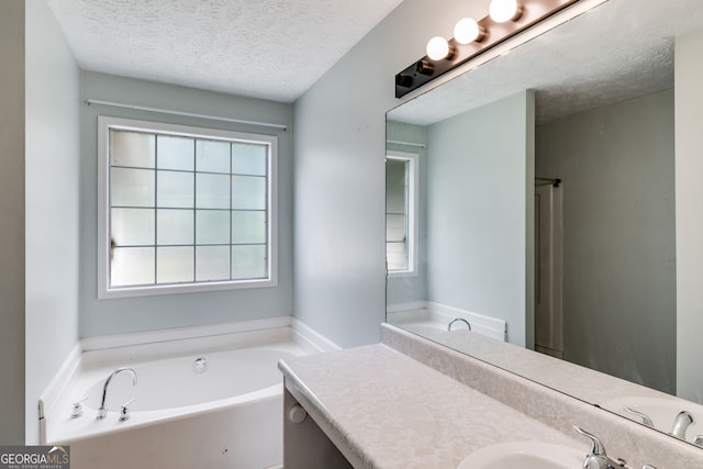 bathroom with vanity, a textured ceiling, and a washtub